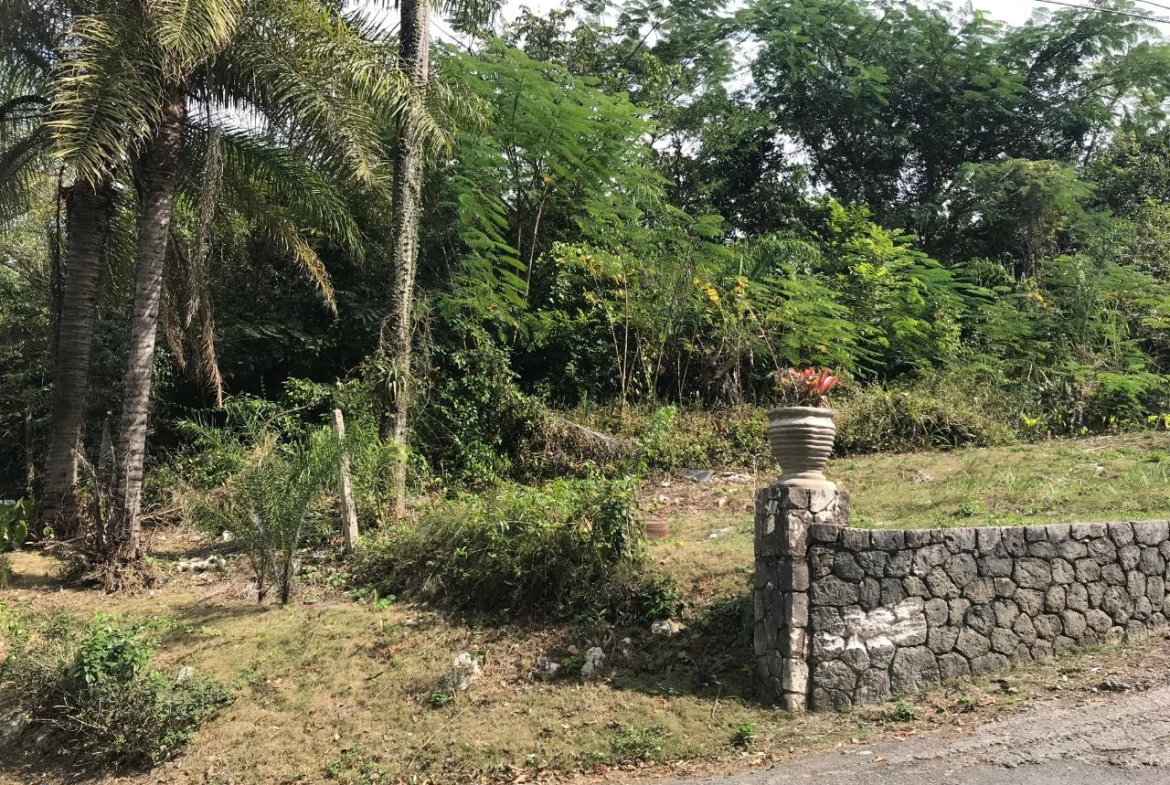 Thirtieth image of 18 Sherbourne Heights in Kingston 9, St. Andrew, Jamaica - property is For Sale