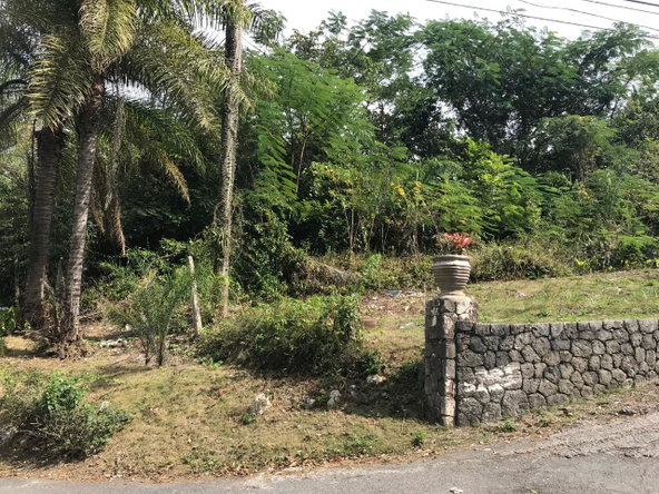 Thirtieth image of 18 Sherbourne Heights in Kingston 9, St. Andrew, Jamaica - property is For Sale