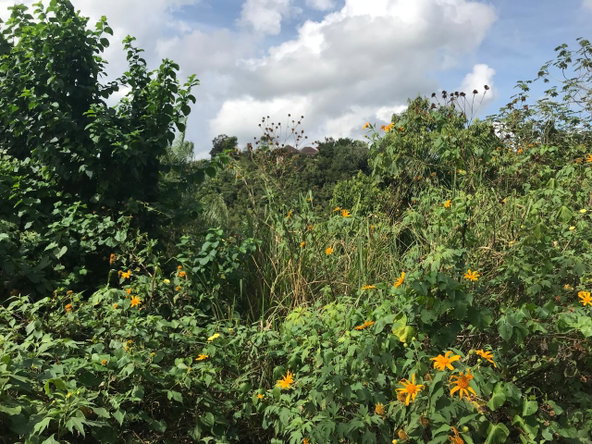 Ninth image of 18 Sherbourne Heights in Kingston 9, St. Andrew, Jamaica - property is For Sale
