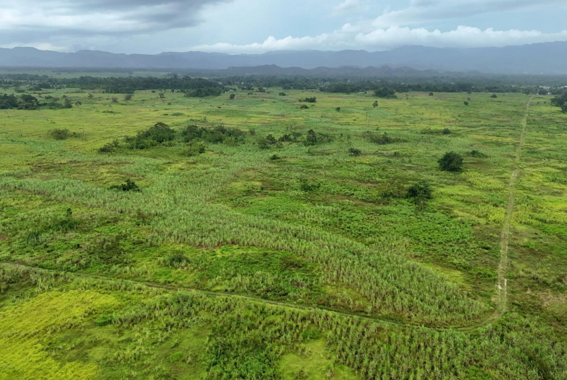 Sixth image of Lot 1b- Bath Pen in SAVANNA LA MAR, Westmoreland, Jamaica - property is For Sale