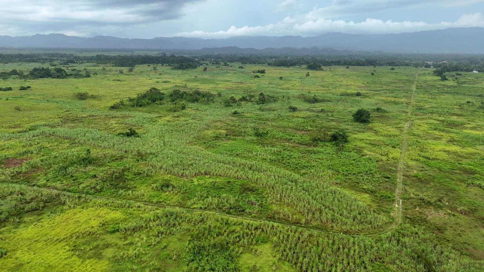 22.9-Acre-Development-Land-for-Sale-in-Bath-Pen-Savanna-la-Mar-Westmoreland Sixth image of Lot 1b- Bath Pen in SAVANNA LA MAR, Westmoreland, Jamaica - property is For Sale