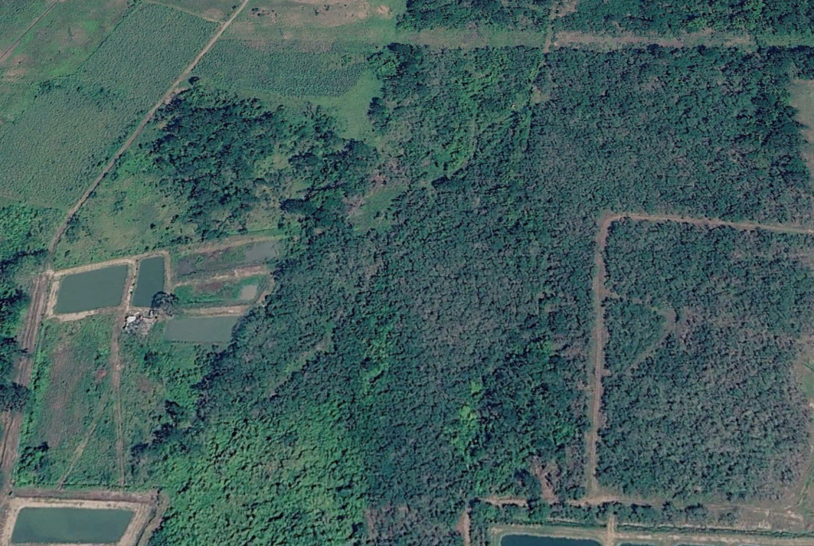 Tenth image of 36a Bushy Park in Bushy Park, St. Catherine, Jamaica - property is For Sale
