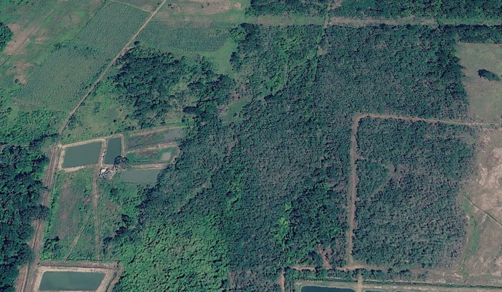 Tenth image of 36a Bushy Park in Bushy Park, St. Catherine, Jamaica - property is For Sale