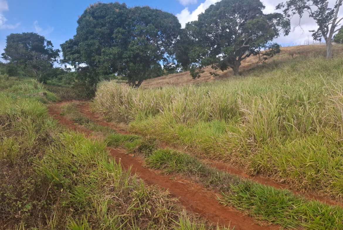 Second image of Part of Cocoa Walk Cross in Cocoa Walk, Manchester, Jamaica - property is For Sale