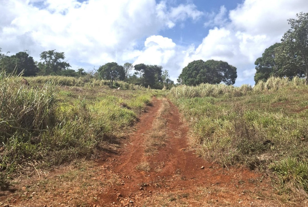 First image of Part of Cocoa Walk Cross in Cocoa Walk, Manchester, Jamaica - property is For Sale