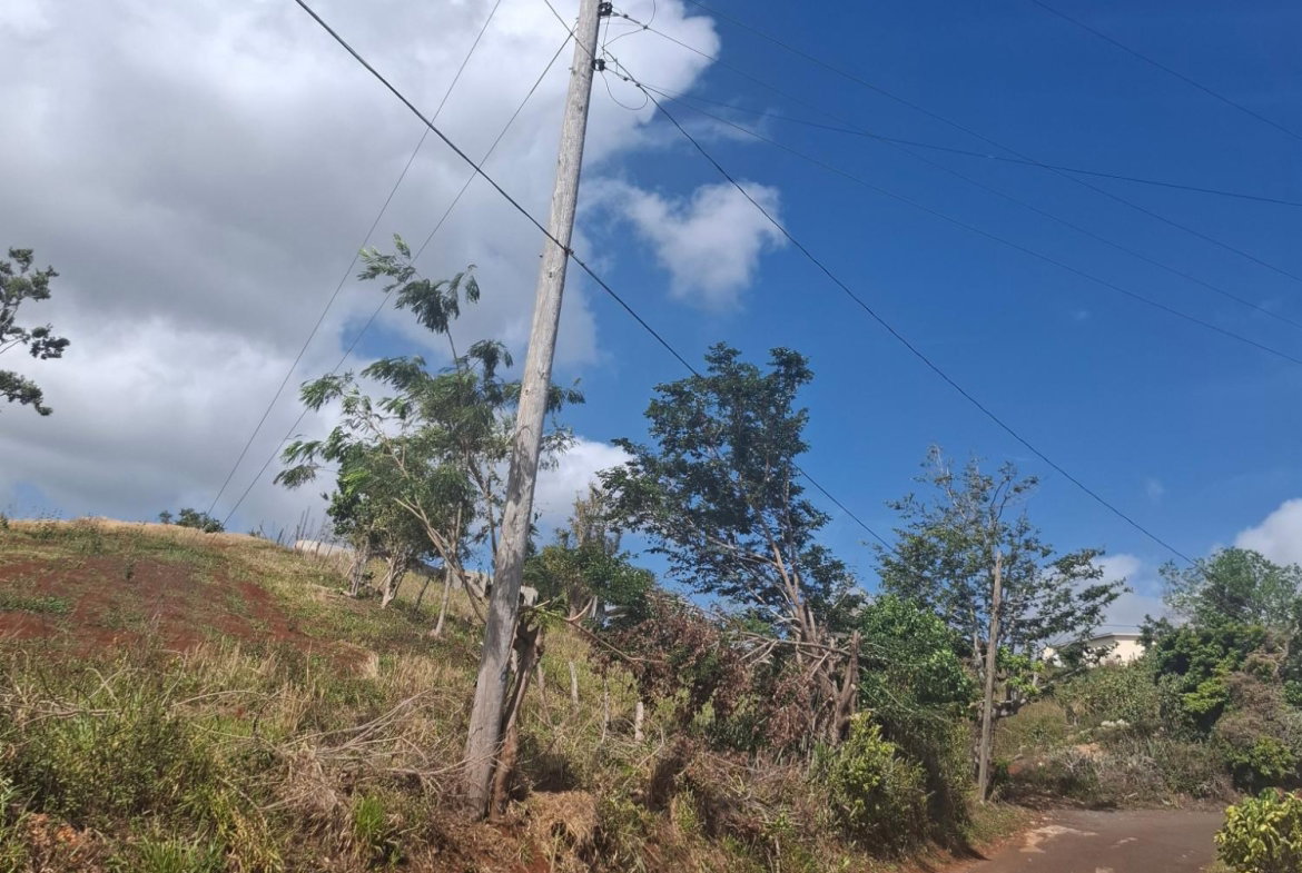 Third image of Part of Cocoa Walk Cross in Cocoa Walk, Manchester, Jamaica - property is For Sale