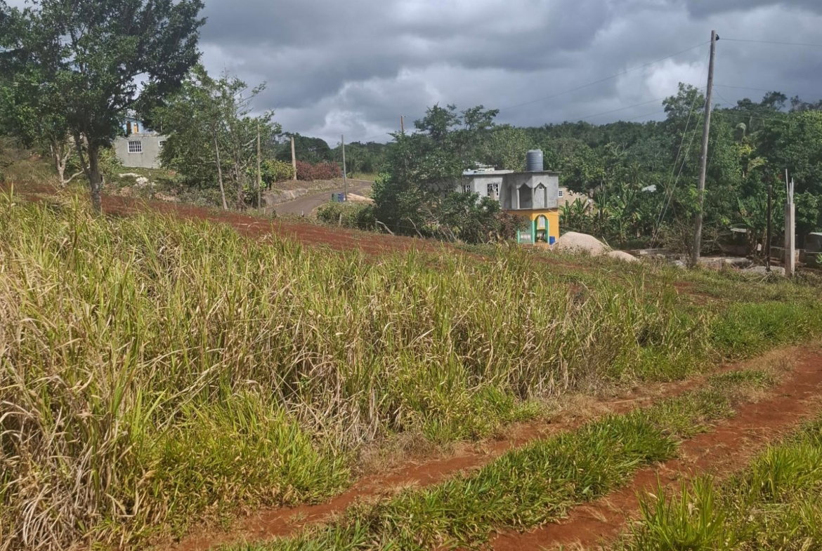 Fourth image of Part of Cocoa Walk Cross in Cocoa Walk, Manchester, Jamaica - property is For Sale