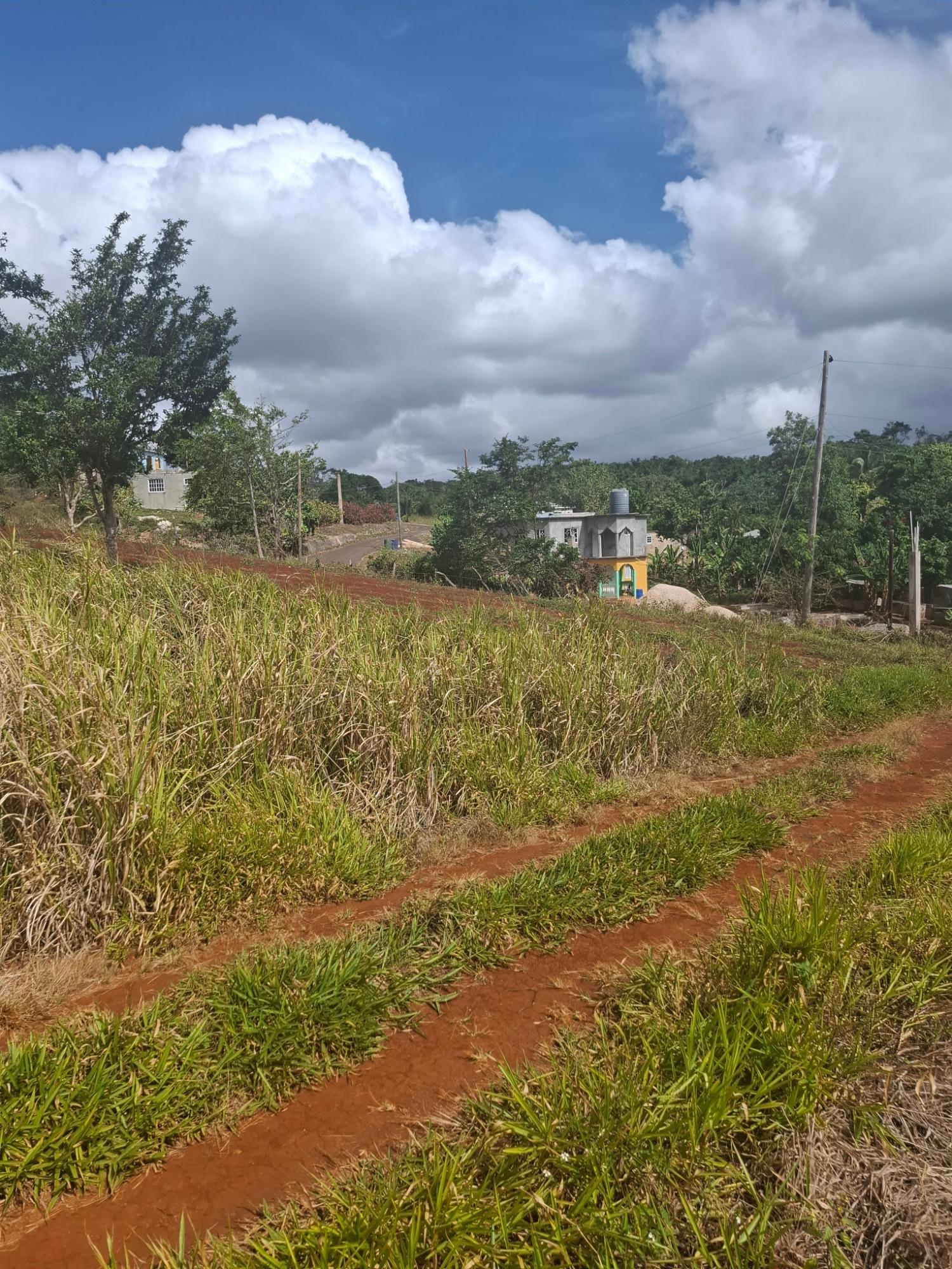 24-Acres-Residential-Development-Land-for-Sale-in-Cocoa-Walk-Manchester-Jamaica Fourth image of Part of Cocoa Walk Cross in Cocoa Walk, Manchester, Jamaica - property is For Sale