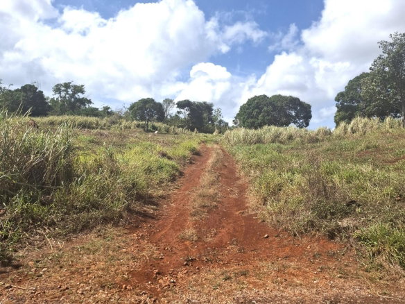 First image of Part of Cocoa Walk Cross in Cocoa Walk, Manchester, Jamaica - property is For Sale