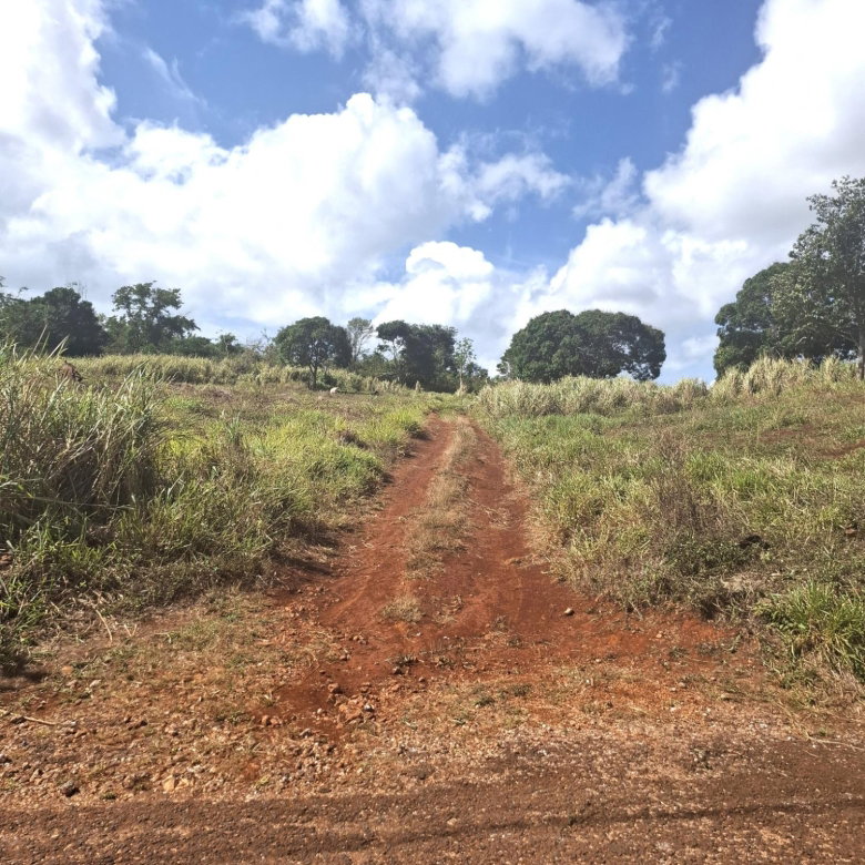 First image of Part of Cocoa Walk Cross in Cocoa Walk, Manchester, Jamaica - property is For Sale