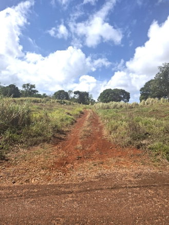 First image of Part of Cocoa Walk Cross in Cocoa Walk, Manchester, Jamaica - property is For Sale
