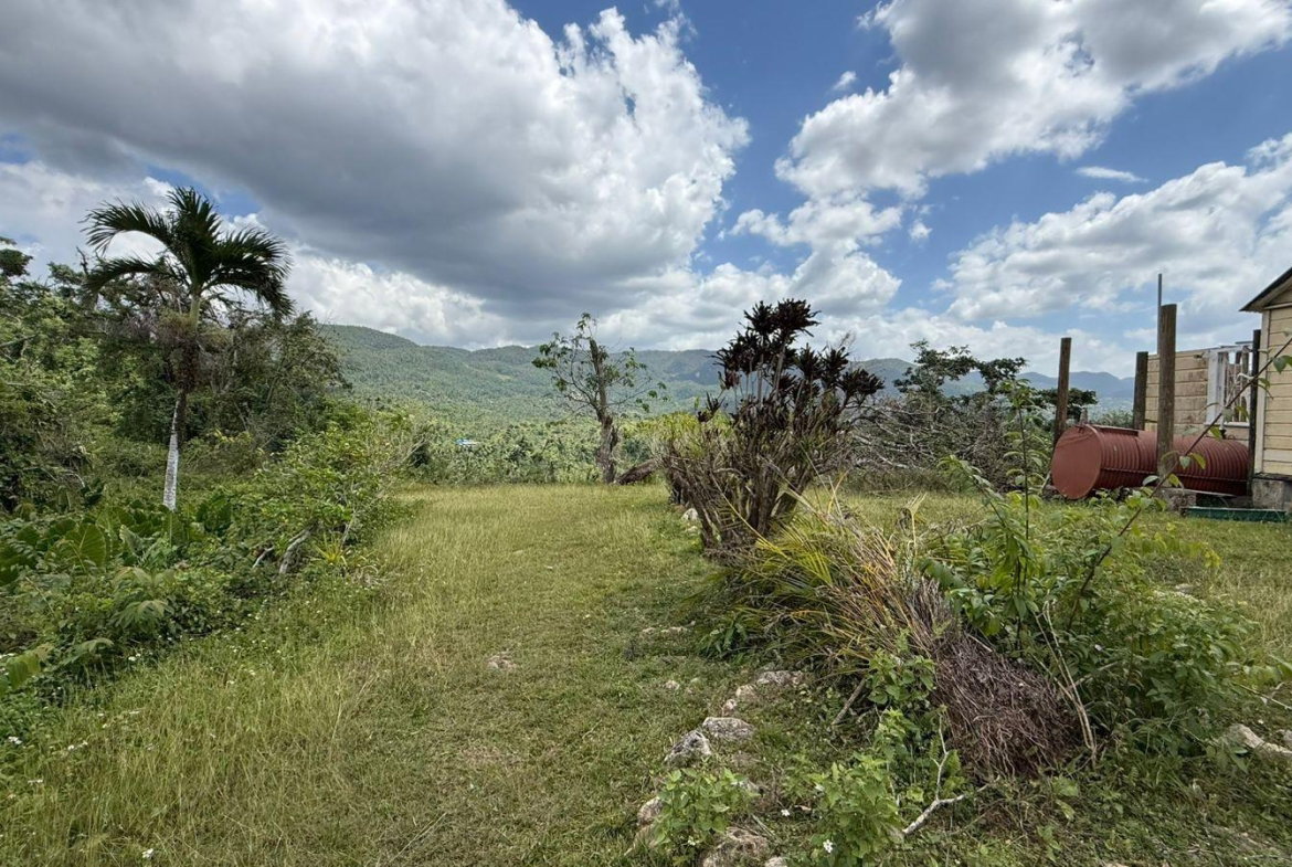 First image of Montpelier to Bruce Hall in Cambridge, St. James, Jamaica - property is For Rent