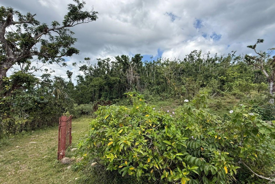 Third image of Montpelier to Bruce Hall in Cambridge, St. James, Jamaica - property is For Rent