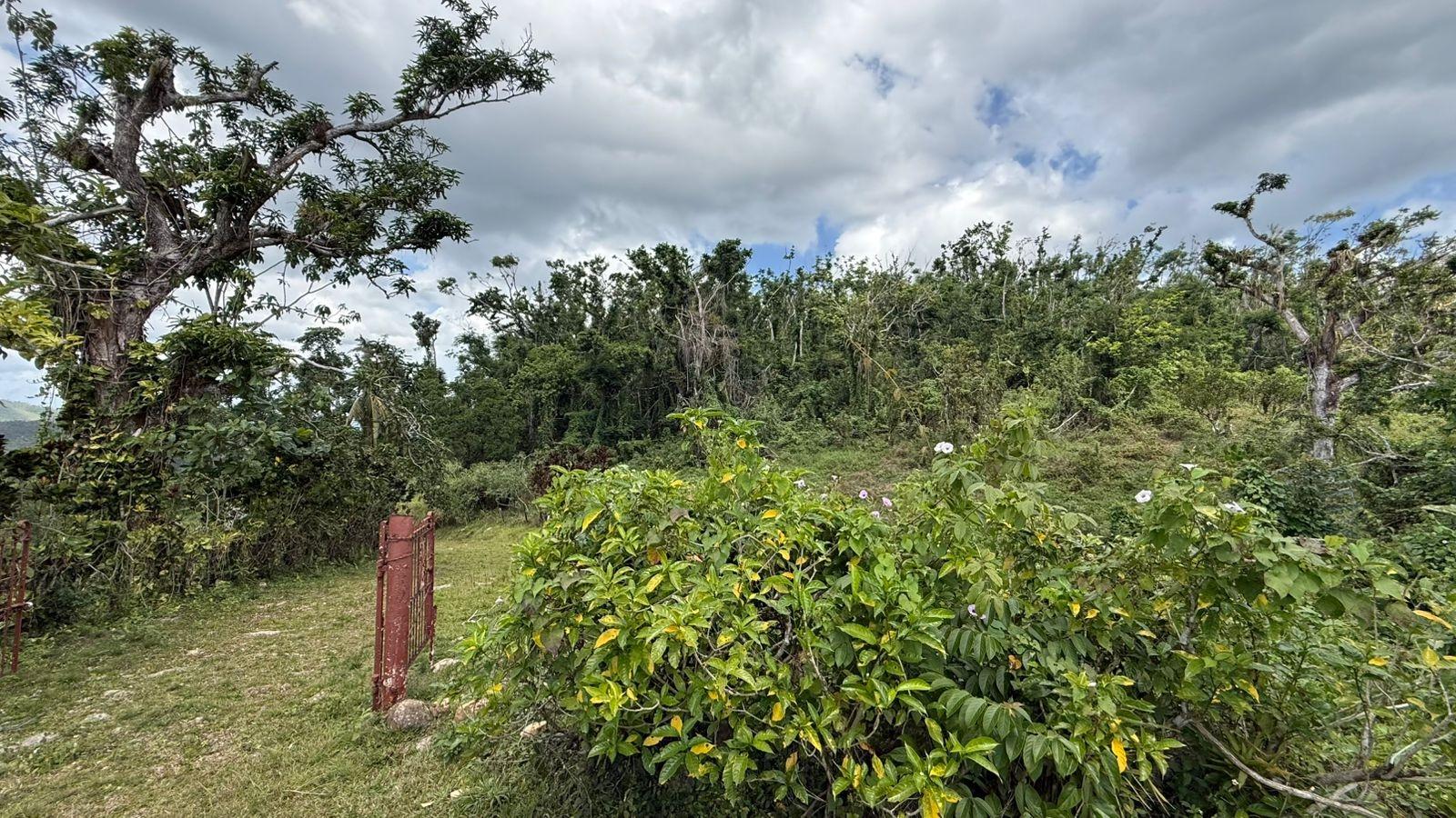 Third image of Montpelier to Bruce Hall in Cambridge, St. James, Jamaica - property is For Rent