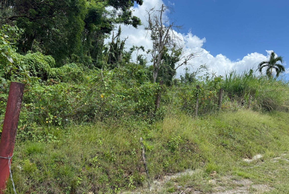 Fourth image of Montpelier to Bruce Hall in Cambridge, St. James, Jamaica - property is For Rent