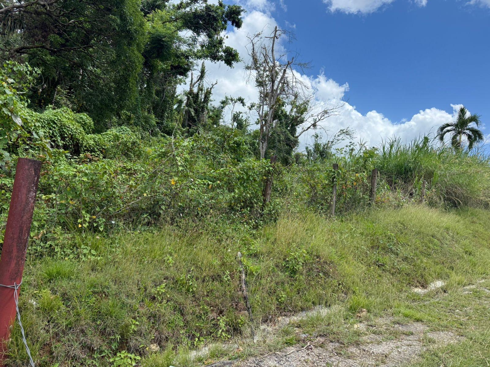 Fourth image of Montpelier to Bruce Hall in Cambridge, St. James, Jamaica - property is For Rent