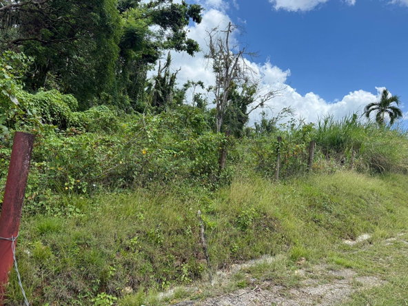 Fourth image of Montpelier to Bruce Hall in Cambridge, St. James, Jamaica - property is For Rent