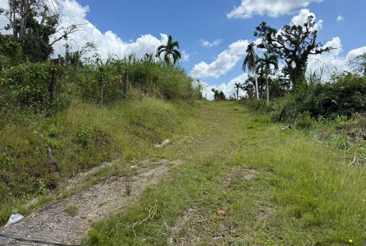 Fifth image of Montpelier to Bruce Hall in Cambridge, St. James, Jamaica - property is For Rent