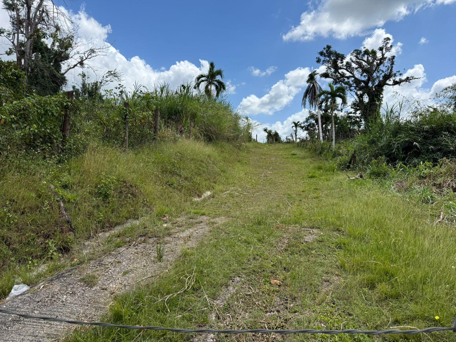 Fifth image of Montpelier to Bruce Hall in Cambridge, St. James, Jamaica - property is For Rent