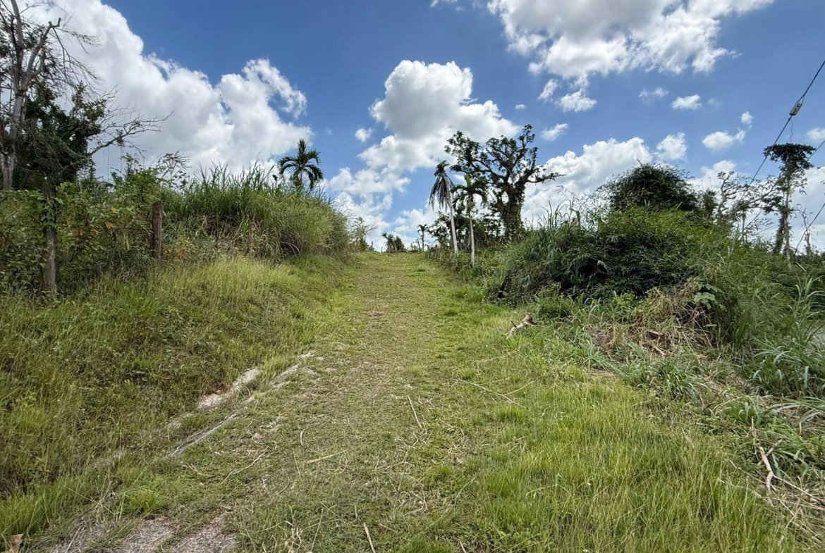 Sixth image of Montpelier to Bruce Hall in Cambridge, St. James, Jamaica - property is For Rent