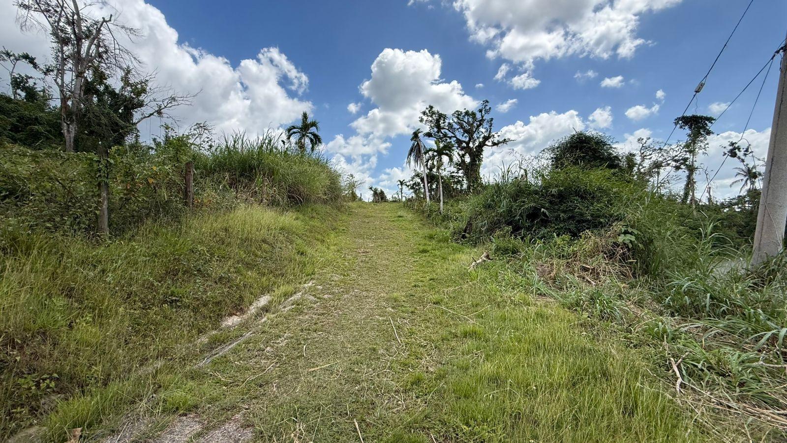 Sixth image of Montpelier to Bruce Hall in Cambridge, St. James, Jamaica - property is For Rent