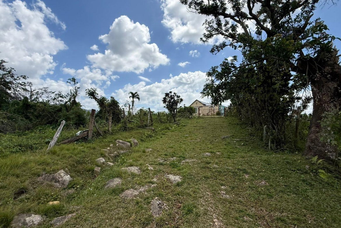 Seventh image of Montpelier to Bruce Hall in Cambridge, St. James, Jamaica - property is For Rent
