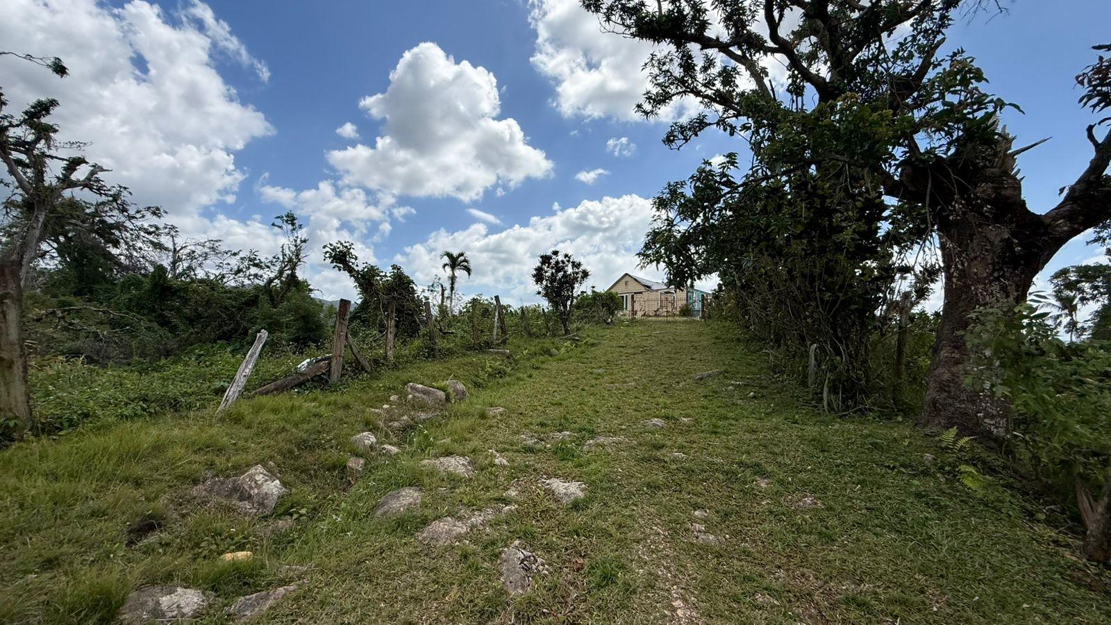 Seventh image of Montpelier to Bruce Hall in Cambridge, St. James, Jamaica - property is For Rent