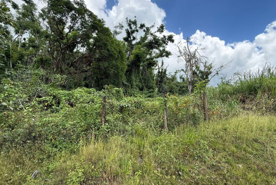 Eighth image of Montpelier to Bruce Hall in Cambridge, St. James, Jamaica - property is For Rent