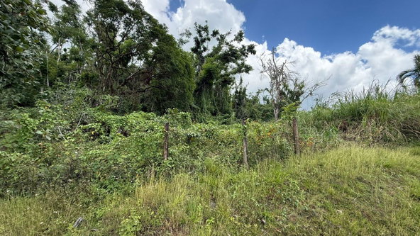 Eighth image of Montpelier to Bruce Hall in Cambridge, St. James, Jamaica - property is For Rent