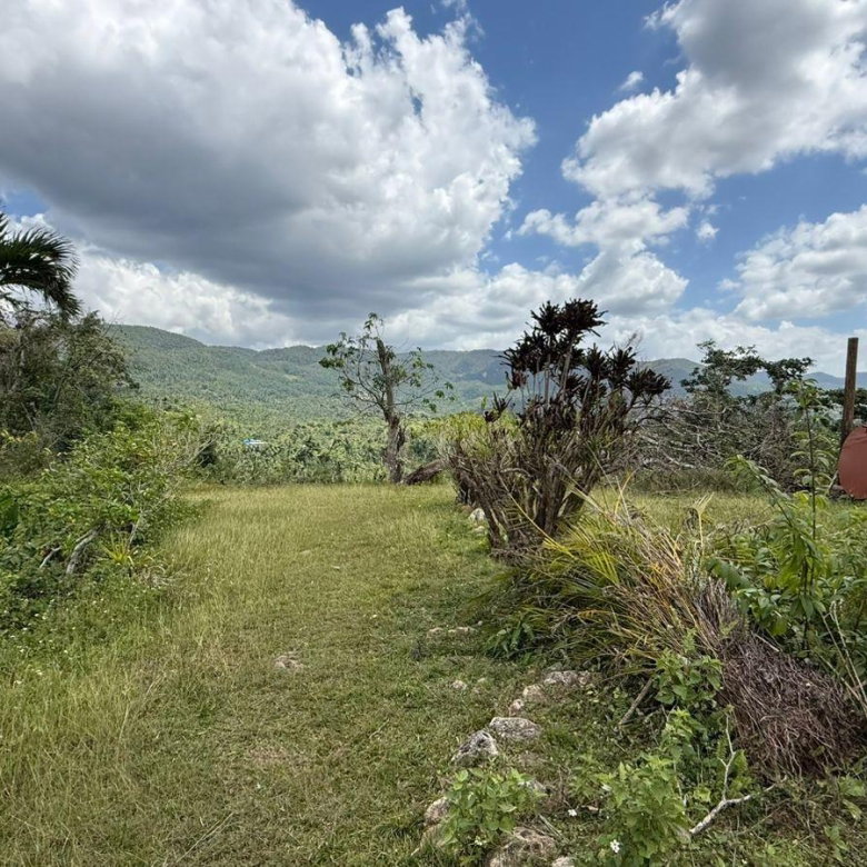First image of Montpelier to Bruce Hall in Cambridge, St. James, Jamaica - property is For Rent