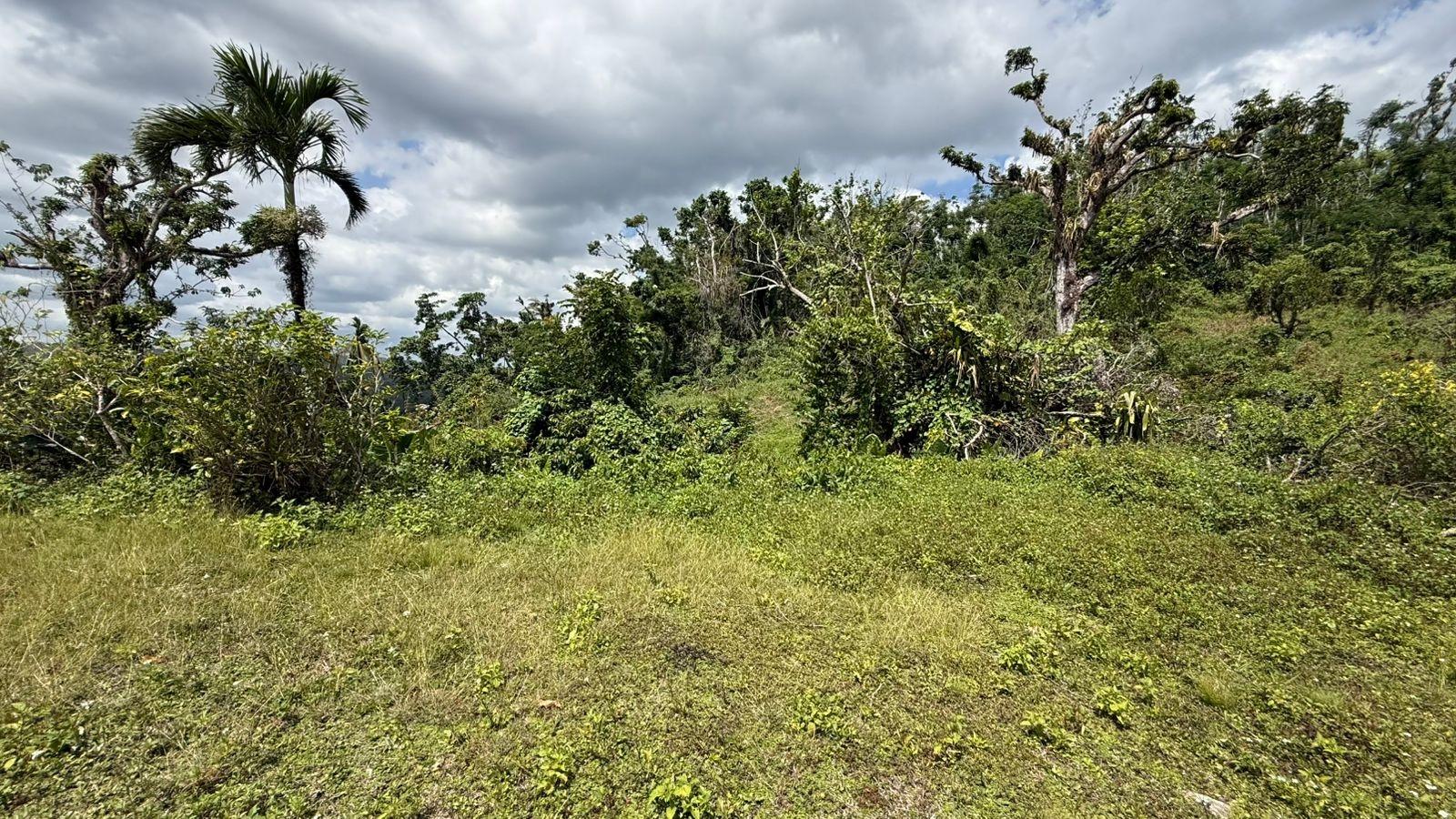 Ninth image of Montpelier to Bruce Hall in Cambridge, St. James, Jamaica - property is For Rent