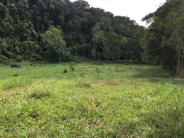 Third image of Chippenham Park, Bamboo in Bamboo, St. Ann, Jamaica - property is For Sale