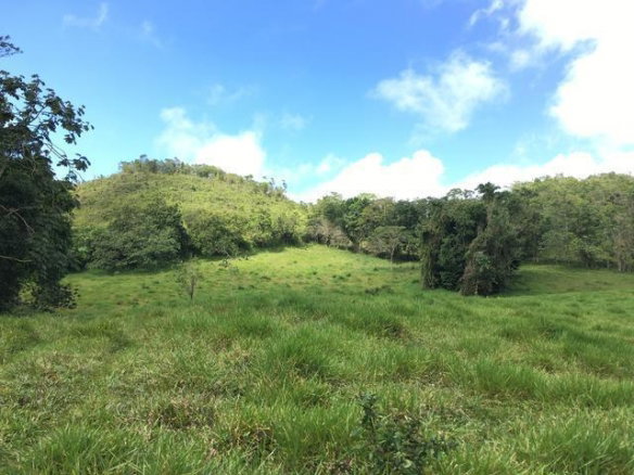 First image of Chippenham Park, Bamboo in Bamboo, St. Ann, Jamaica - property is For Sale