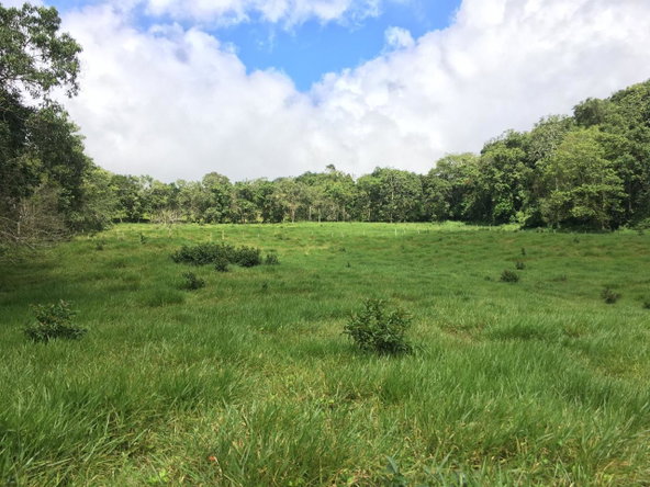 Second image of Chippenham Park, Bamboo in Bamboo, St. Ann, Jamaica - property is For Sale
