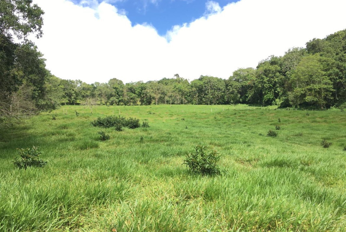 First image of Chippenham Park, Bamboo in Bamboo, St. Ann, Jamaica - property is For Sale