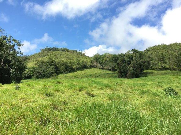 Third image of Chippenham Park, Bamboo in Bamboo, St. Ann, Jamaica - property is For Sale