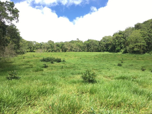 First image of Chippenham Park, Bamboo in Bamboo, St. Ann, Jamaica - property is For Sale