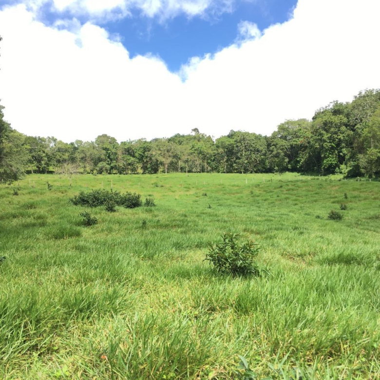 First image of Chippenham Park, Bamboo in Bamboo, St. Ann, Jamaica - property is For Sale