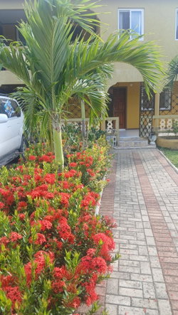 Second image of 449 St. Andrews Terrace, in Ironshore, St. James, Jamaica - property is For Rent