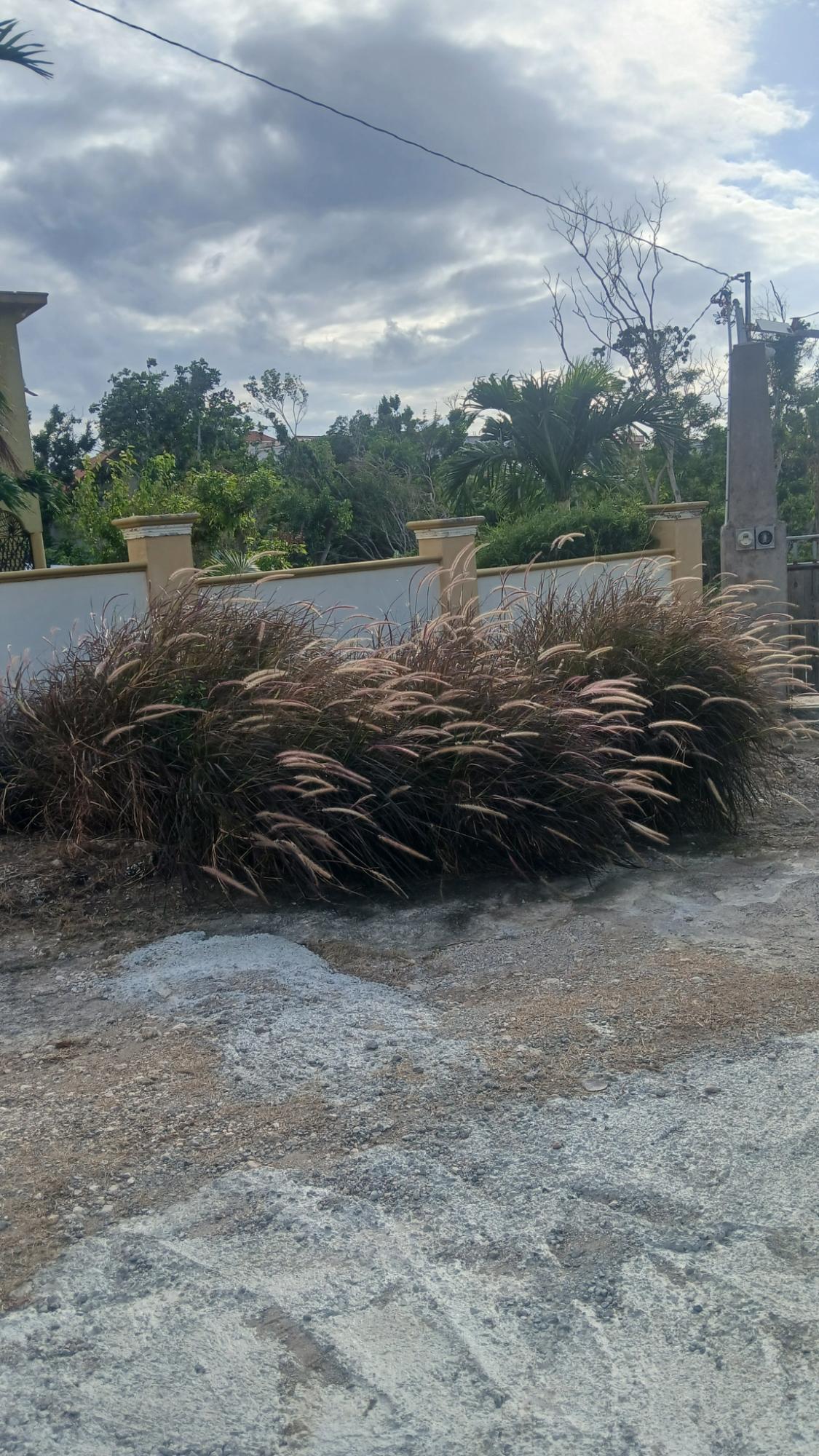 Third image of 449 St. Andrews Terrace, in Ironshore, St. James, Jamaica - property is For Rent