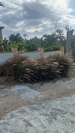 Third image of 449 St. Andrews Terrace, in Ironshore, St. James, Jamaica - property is For Rent