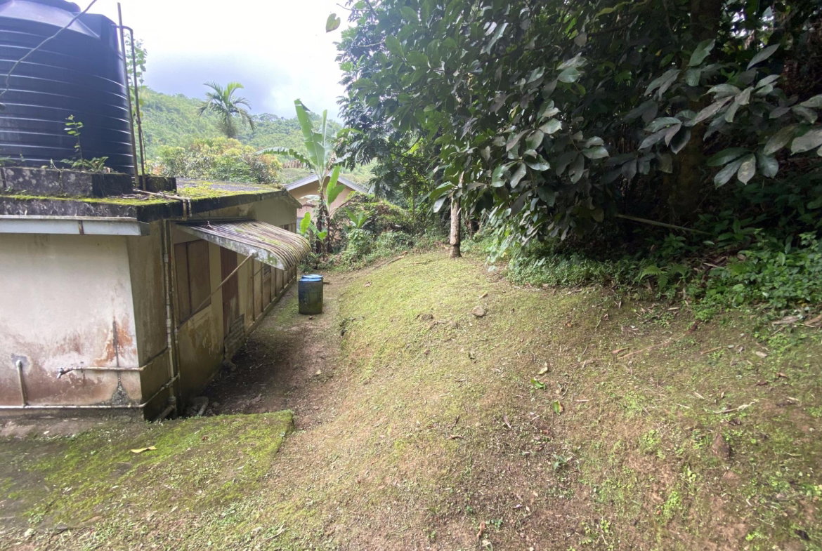 Twelfth image of 5 Staten Close in Kingston 9, St. Andrew, Jamaica - property is For Sale