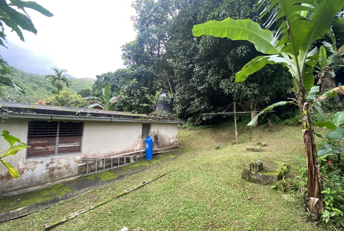 Fifth image of 5 Staten Close in Kingston 9, St. Andrew, Jamaica - property is For Sale