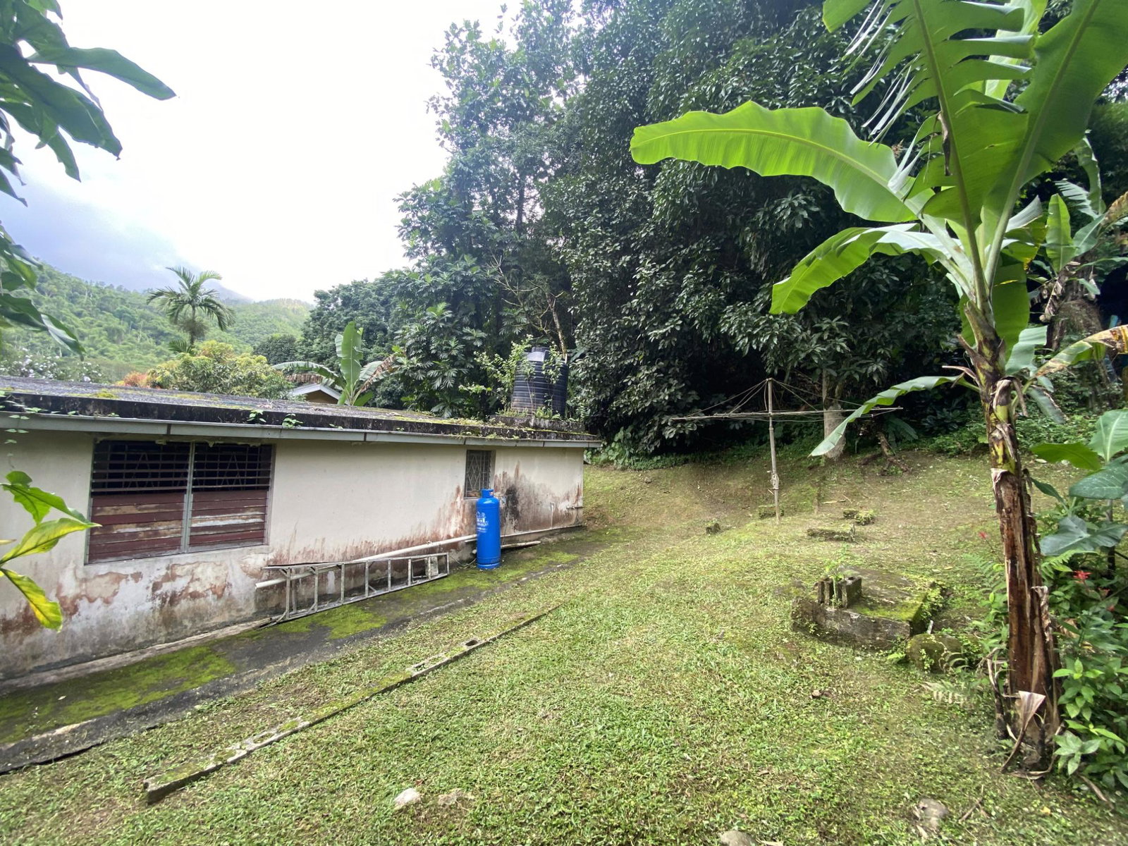 Fifth image of 5 Staten Close in Kingston 9, St. Andrew, Jamaica - property is For Sale