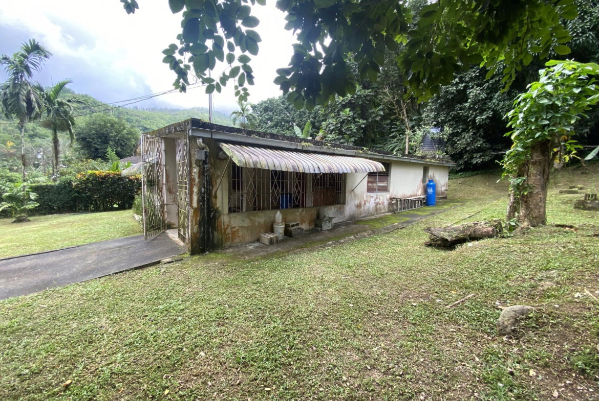 Sixth image of 5 Staten Close in Kingston 9, St. Andrew, Jamaica - property is For Sale