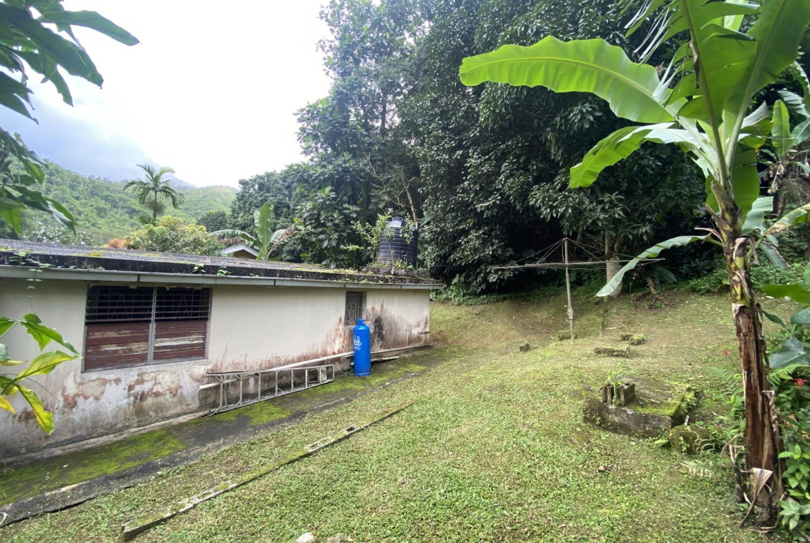 Eighth image of 5 Staten Close in Kingston 9, St. Andrew, Jamaica - property is For Sale