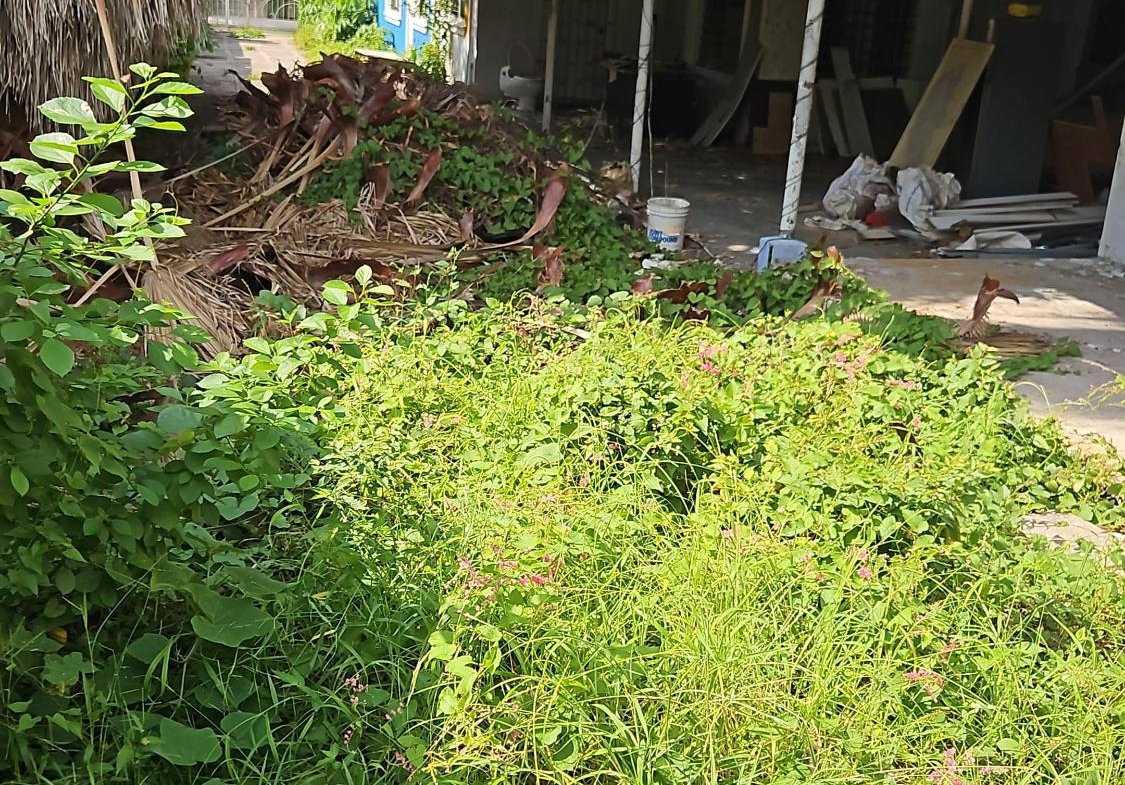 Fifth image of 35 Waterloo Ave, Kingston 5 in Kingston 5, St. Andrew, Jamaica - property is For Sale