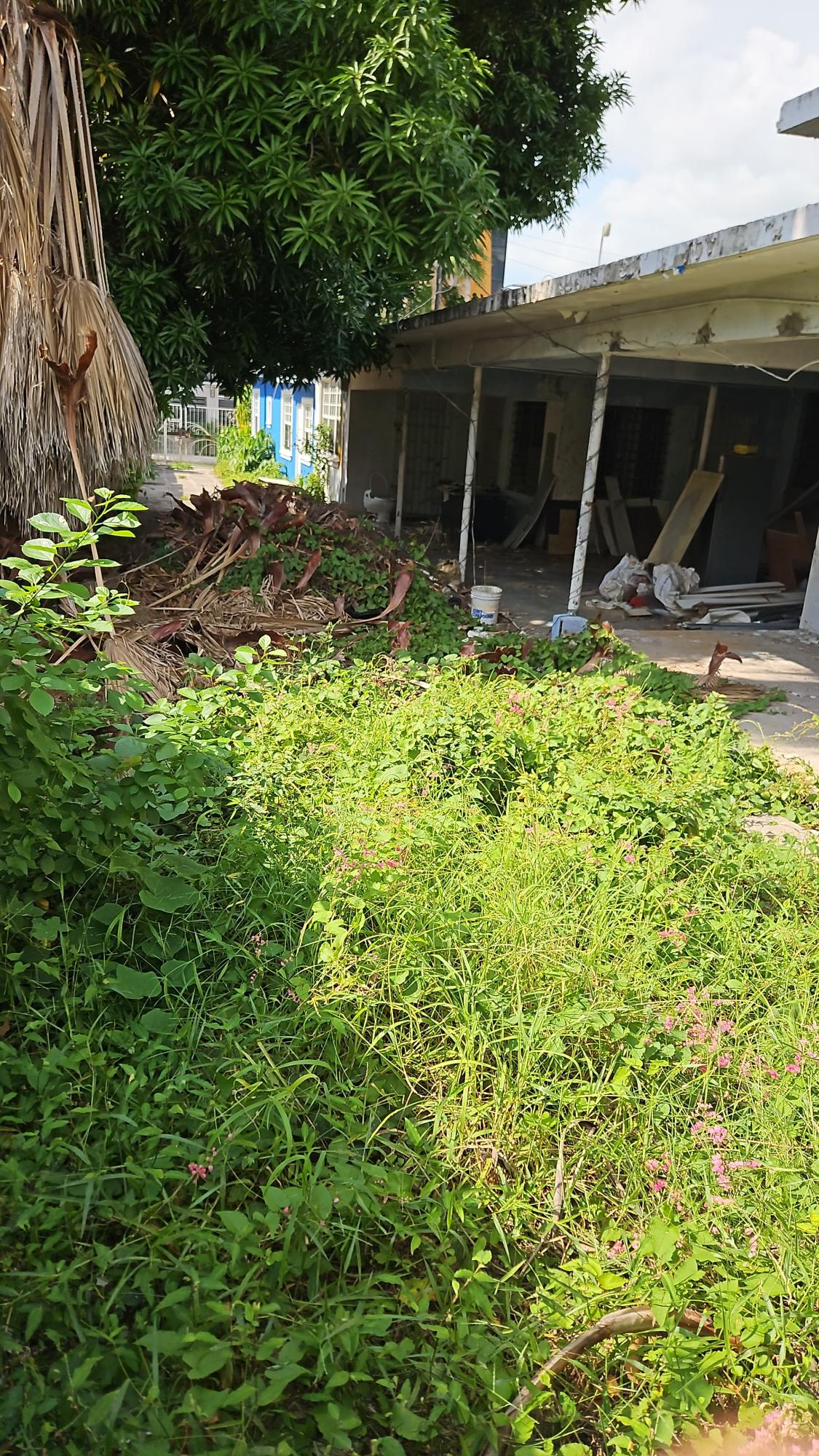 Fifth image of 35 Waterloo Ave, Kingston 5 in Kingston 5, St. Andrew, Jamaica - property is For Sale