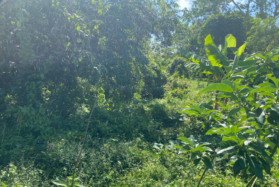 First image of Part Red Hills Clarendon in Red Hills, Clarendon, Jamaica - property is For Sale