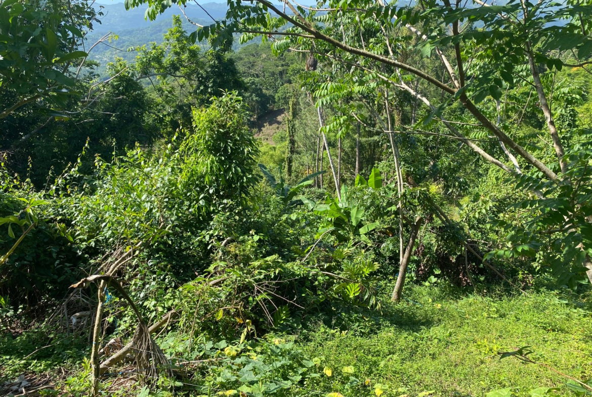 Fourth image of Part Red Hills Clarendon in Red Hills, Clarendon, Jamaica - property is For Sale